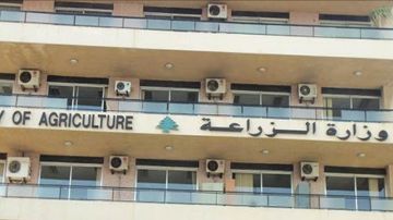 وزارة الزراعة أعلنت انطلاق حملة تحصين الأبقار غدا