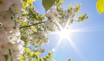 طقس ربيعي يسيطر على لبنان.. والثلاثاء الحرارة تلامس الـ30 درجة