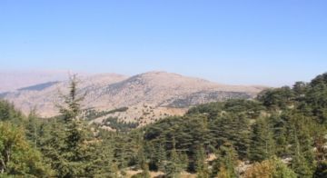 مع اشتداد العاصفة الخماسينية تحذير من محمية أرز الشوف!