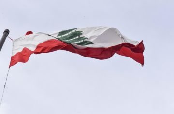 المطلوب قرار وطني في موازاة حصرية السلاح تحييد لبنان شرط واقعي لحل مستدام