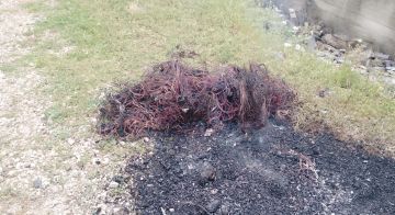 توقيف سارقي أسلاك كهربائية وهاتفية في رماح