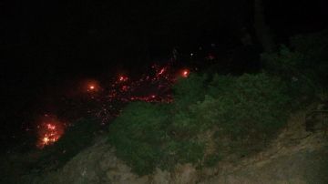 حريق كبير في أحراج عكار العتيقة ومناشدات للإسراع بالمساعدة والإطفاء