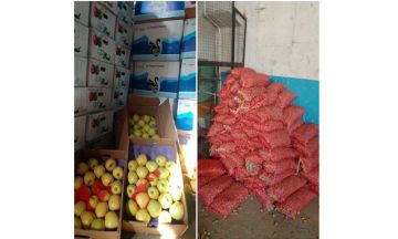 الجمارك تضبط شحنات مهربة من المنتجات الزراعية!