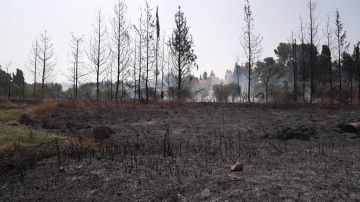 حرائق القدس تتسع وتزيد الانقسامات داخل كيان الاحتلال وتلهب التحريض ضد الفلسطينيين حرائق القدس تتسع وتزيد الانقسامات داخل كيان الاحتلال وتلهب التحريض ضد الفلسطينيين