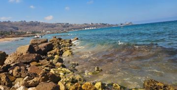 وزارة البيئة طالبت بفتح تحقيق بشأن تسرب وتلوث نفطي في البحر في الجية وبتجريم المرتكبين