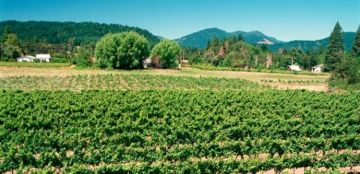 تجمع النقابات الزراعية في الجنوب: لتعزيز مقومات الصمود للمواطن الجنوبي ولا سيما المزارعين