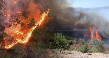 الساحل السوري يشتعل: حرائق مستمرة لليوم التاسع ومعبر كسب يغلق موقتا