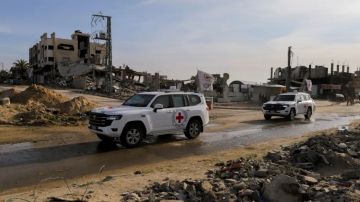 الصليب الأحمر الدولي: لا مبرر لما يحدث في غزة والمعاناة تجاوزت كل الحدود