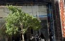 في لبنان.. سرقوا تعاونية والخسائر تُقدَّر بنحو خمسة الاف دولار!
