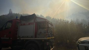 الدفاع المدني: السيطرة على حريق في أحراج الهرمل وانتشال جثة من داخل بحيرة ري في عيناتا- الأرز الدفاع المدني: السيطرة على حريق في أحراج الهرمل وانتشال جثة من داخل بحيرة ري في عيناتا- الأرز