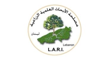 مصلحة الأبحاث الزراعية: لا منخفضات جوية مرتقبة وأيلول بلا أمطار حتى مطلع تشرين الأول مصلحة الأبحاث الزراعية: لا منخفضات جوية مرتقبة وأيلول بلا أمطار حتى مطلع تشرين الأول