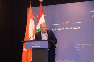 باسيل أكد أن الجنوب قدم التضحيات عن جميع اللبنانيين: البعض يطالب بما تريد اسرائيل ولماذا لا تتحدث الحكومة باعادة الاعمار؟