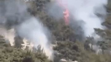 كارثة بيئية تشتعل في قلب منطقة لبنانية كارثة بيئية تشتعل في قلب منطقة لبنانية