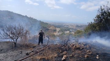 الدفاع المدني: واجهنا سلسلة حرائق اندلعت في مختلف المناطق والعمليات مستمرة في أحراج باتر- جزين