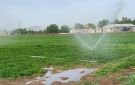 وزير الزراعة بحث مع السفير الصيني سبل دعم القطاع الزراعي - lb