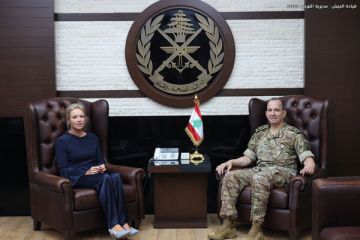 هيكل استقبل بلاسخارت وبحث الأوضاع العامة مع الحاج