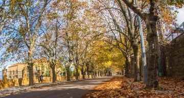 الأرصاد الجوية تتوقع طقسا صافيا وارتفاعا بدرجات الحرارة مع رياح ناشطة وانخفاض الرطوبة الأرصاد الجوية تتوقع طقسا صافيا وارتفاعا بدرجات الحرارة مع رياح ناشطة وانخفاض الرطوبة