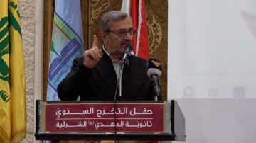 عز الدين: السلاح أمانة في أعناق أغلب الشعب اللبناني الذي يرفض تسليمه لأن الضمانة الوحيدة للبنان