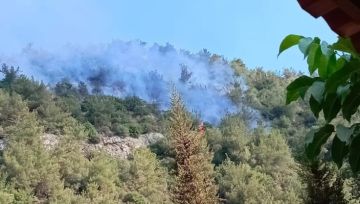 الجهود مستمرة لإخماد الحريق في أحراج عيون السمك- الضنية واستقدام طوافة للجيش