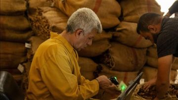 الريجي تتسلم المحاصيل شمالا في 24 أيلول وبقاعا في منتصف كانون الثاني 2026