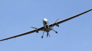 ألمانيا تصنف تهديد الطائرات المسيرة بـ الكبير وتدرس السماح للجيش بإسقاطها ألمانيا تصنف تهديد الطائرات المسيرة بـ الكبير وتدرس السماح للجيش بإسقاطها