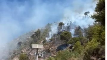 فيديو لحريق هائل... ومناشدة من الأهالي فيديو لحريق هائل... ومناشدة من الأهالي