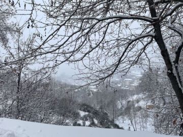 استقرار في الطقس قبل وصول منخفض جوي الثلاثاء