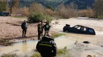 الدفاع المدني ينقذ أربعة مواطنين بعد سقوط سيارتهم في نهر بسري الدفاع المدني ينقذ أربعة مواطنين بعد سقوط سيارتهم في نهر بسري