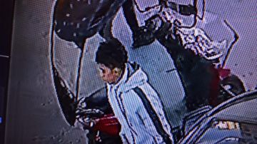 بالصورة: صدم سيدة وفر... هل من يعرف عنه شيئا؟