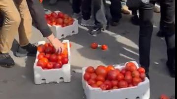 بالفيديو: رشقوا مبنى الجمارك بالبندورة بالفيديو: رشقوا مبنى الجمارك بالبندورة