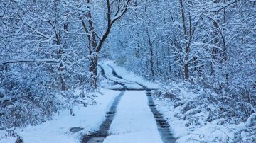 كانون مبيضها... وهذا ما تحمله العاصفة! كانون مبيضها... وهذا ما تحمله العاصفة!