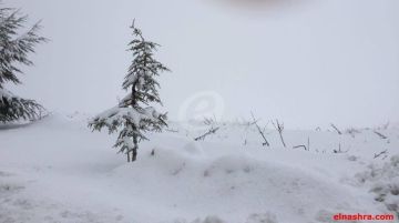 عدد من الطرقات الجبلية مقطوعة حاليا بسبب تراكم الثلوج