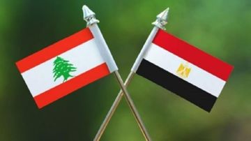 الخارجية المصرية: نرحب بإعلان إنجاز المرحلة الأولى من خطة حصر السلاح في جنوب الليطاني