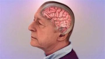 دون حمية قاسية غذاء أقل معالجة يدعم الشيخوخة الصحية دون حمية قاسية غذاء أقل معالجة يدعم الشيخوخة الصحية