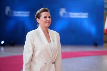 رئيسة حكومة الدنمارك تحذر واشنطن من السيطرة على غرينلاند: ستكون نهاية الناتو 