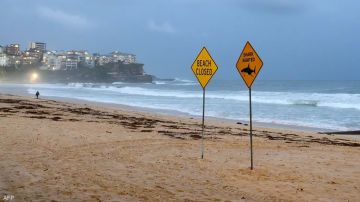 هجمات أسماك القرش تجبر عشرات الشواطئ على الإغلاق في سيدني هجمات أسماك القرش تجبر عشرات الشواطئ على الإغلاق في سيدني