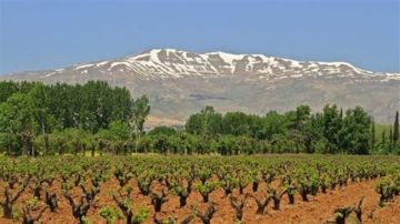 شتاء 2026 بيضها... فهل الزراعة بخير؟