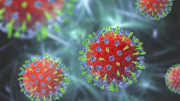 هل يتحول فيروس نيباه القاتل الى جائحة؟