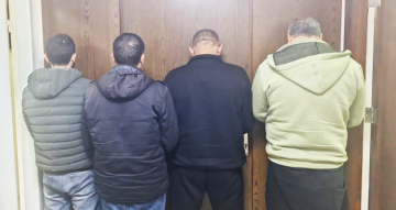 قوى الأمن: ضبط أبقار وعجول مهربة من سوريا في المنية والشويفات وتوقيف متورطين