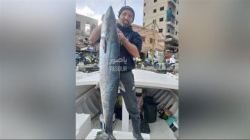 صيد مميز في مدينة صور ... غزال بوزن 26 كيلوغرام