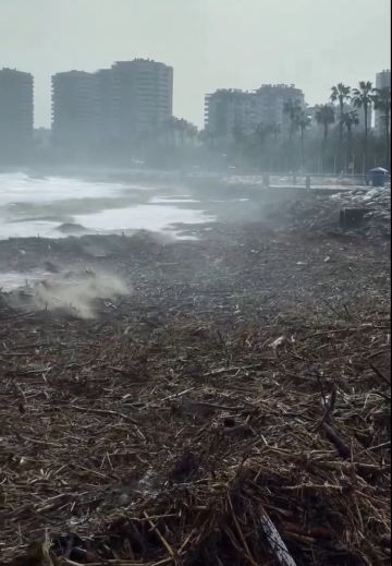 بالفيديو مشهد غريب على شاطئ مرسين في تركيا