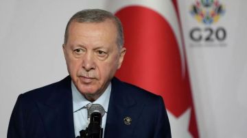 أردوغان يؤكد دعم وحدة اليمن والصومال خلال مباحثات مع نظيره الإماراتي