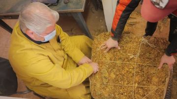 الريجي: بدء تسلم محاصيل تبغ البقاع الريجي: بدء تسلم محاصيل تبغ البقاع