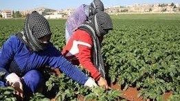 نقابة مزارعي بعلبك الهرمل: للتعاون مع مصلحة الأبحاث لما فيه خير المزارعين