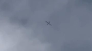 بالفيديو: مسيرة على علو منخفض بالفيديو: مسيرة على علو منخفض