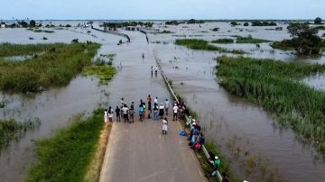 بعد الفيضانات.. التماسيح تغزو الشوارع