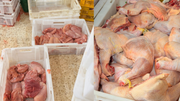 قوى الأمن: ضبط 3 أطنان دجاج غير مطابق داخل مستودعين في سعدنايل وإقفالهما وتوقيف 10 أشخاص