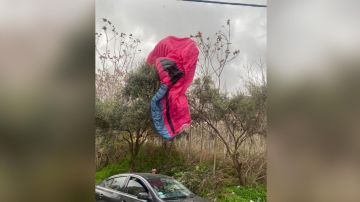 بالفيديو: جونية تنجو من كارثة بسبب الـ Paragliding!