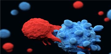 ابتكار كندي يمهد الطريق لتطوير علاجات سرطان جاهزة وأقل تكلفة ابتكار كندي يمهد الطريق لتطوير علاجات سرطان جاهزة وأقل تكلفة