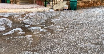 تشكل برك على طرق النبطية والجوار وأضرار بالمزروعات والممتلكات بسبب الأمطار الغزيرة